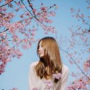 스마트솔루션 이미지
