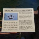 천지연폭포주차장 네이버블로그