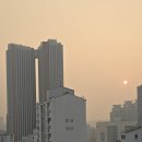 1229.열흘 이미지