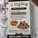 호두랑파이랑 이미지