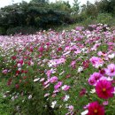 계절그리기 이미지