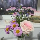 논현2-126 | 빌라드지드 논현 웨딩홀 토요일 예식 하객 후기