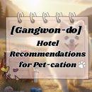 해뜨는 펜션 이미지