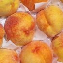 청도청과 이미지