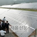 무안태양광발전소 이미지