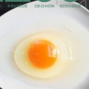 오상농장 네이버블로그