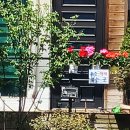 풀하우스 이미지