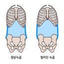 드림헬스타운 | 헬스보이짐 평택비전점 PT 후기ㅣ허리 안정화 15주 프로그램 (김준우 팀장)