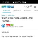 민주당원 게시판에 오른글.이게 사실인가요?(댓글 첨부) 이미지