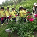 산동숲유치원 이미지