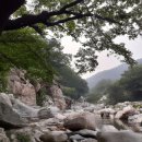 산청금서관광지 이미지