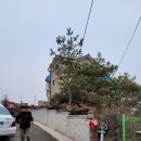 작은쉼터 스텔라