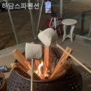 하담스파펜션