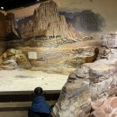 경기북부어린이박물관 | 🌿 경기북부 아이랑 가볼만한곳, 경기북부어린이박물관 다녀온 리얼후기 (주말 나들이 추천)