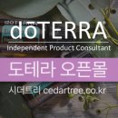 시더트리