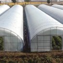 하우스농장 이미지