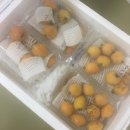 조흥농장 이미지