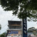 내포 홍성 태경프라자 | 충남 홍성 한우 맛집 추천 홍성한우프라자 등심 육사시미 후기