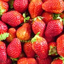 엔도르핀농장 이미지