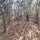 춘천서인병원 이미지