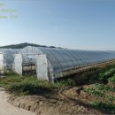 석성면봉정리보건진료소 | [토지(임야)경매] 2016타경 3511ρ충남 부여군 석성면 봉정리 산31-2 경매