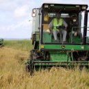 강국농장 이미지