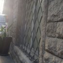 호성자전거 이미지