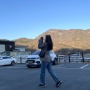 베이커달리아