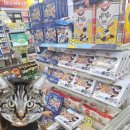 세븐일레븐 포항양덕원룸점 이미지