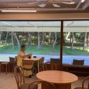 소나모나 이미지