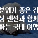 펜션비우고채우는숲 | 분위기 좋은 감성 펜션과 함께하는 국내 여행