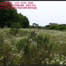 장고항1리마을회관 이미지