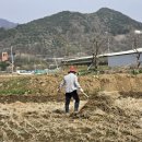 연풍면사무소 이미지