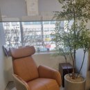 세라젬 셀루닉하우스 강북점