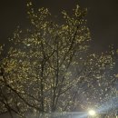 까까뭉치 이미지