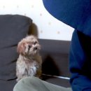 봄날의 햇살 이미지