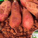 산직농장 이미지