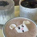 더오펠리 이미지