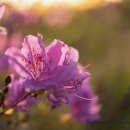 능성목장 이미지