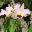 대연농장 이미지