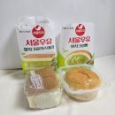 GS25 궁동자연점 | GS25 서울우유 말차크림빵 신상 디저트 후기