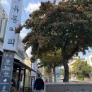 유동 | 서귀포 유동커피 후기 :: 크루아상·소금크림치즈빵 맛있었던 날