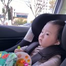 조이렌트카편의점