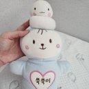 리ㆍ본 프로젝트 | [육아] 7개월 모유수유 아기 통잠 프로젝트 ① / 꿀잠 아이템 추천&amp;비추천 리뷰 / 수면교육 기록