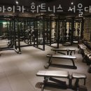 자마이카휘트니스 이미지
