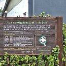 금강순대 이미지