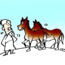 돋보이 개 이미지