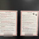 경포몽애견펜션 이미지