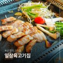 부산 명지 맛집 강서구 일삼육고기집 테이블오더 티오더 간편 주문
