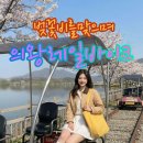 왕송호수 산책로(정자) | ​🌸 [2026 벚꽃 실시간] 의왕 왕송호수 &amp; 레일바이크 완벽 가이드 : 꽃터널 아래 인생샷 스팟